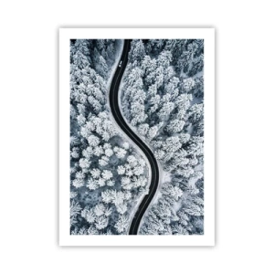 Affisch - Genom vinterskogen - 50x70 cm