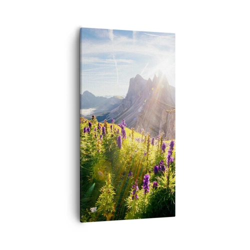 Canvastavla - Bild på duk - Örternas hemliga liv - 55x100 cm