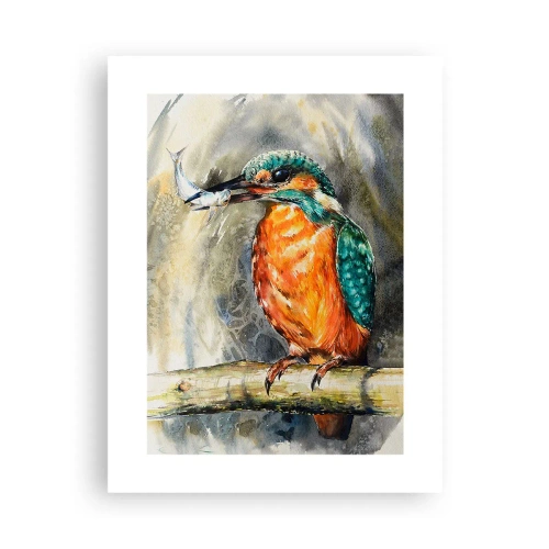 Affisch - Naturens lagar - 30x40 cm