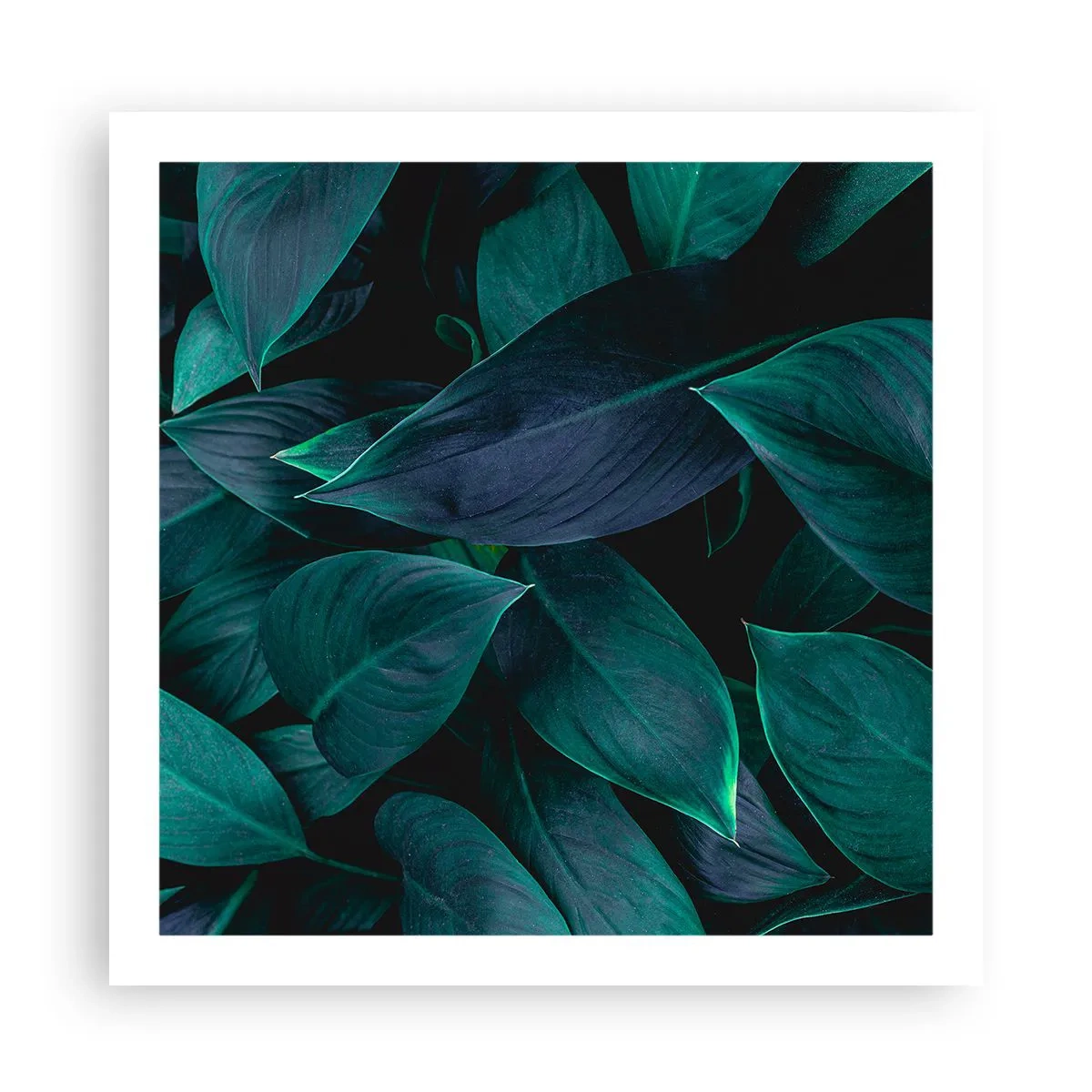 Affisch - Grönskan själv - 60x60 cm