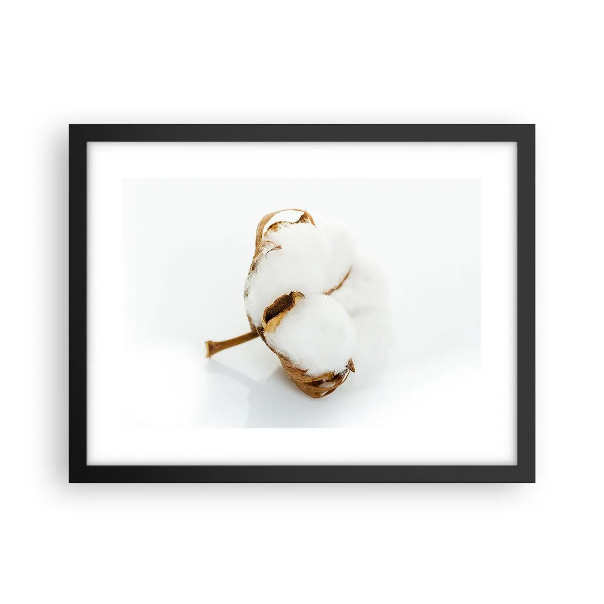 Affisch i svart ram - Mjuk av naturen - 40x30 cm