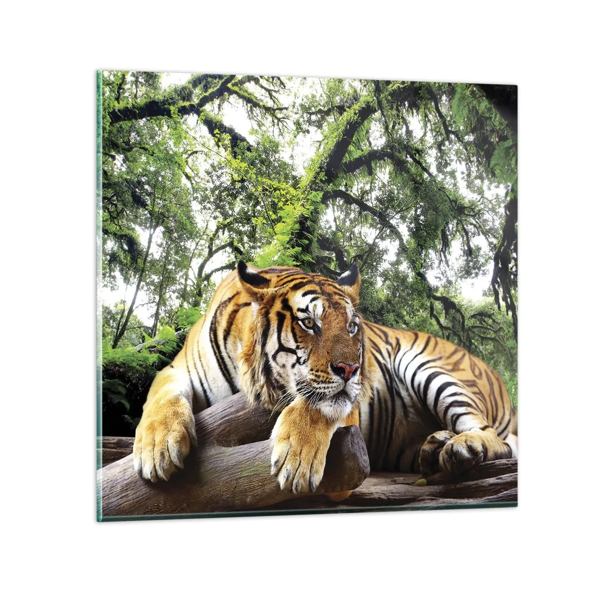 Glastavla - Bild på glas - Med vänlig hälsning - 70x70 cm