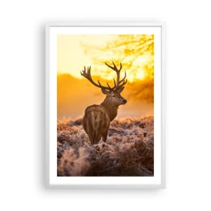 Affisch i vit ram - Höstskogens kung - 50x70 cm