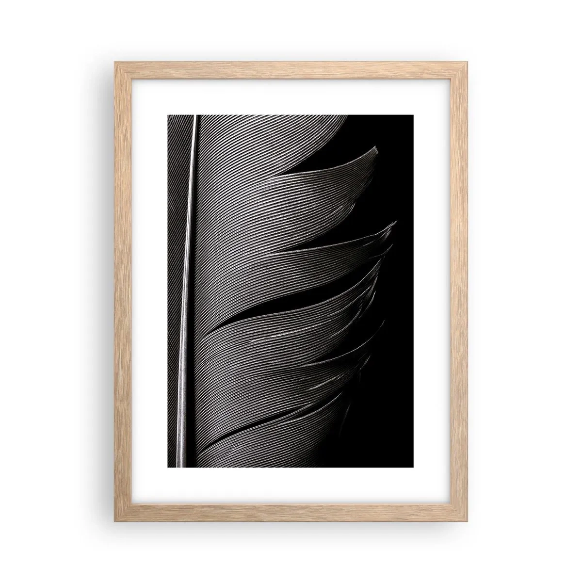 Affisch i ram av ljusek - Fjäder - en underbar konstruktion - 30x40 cm