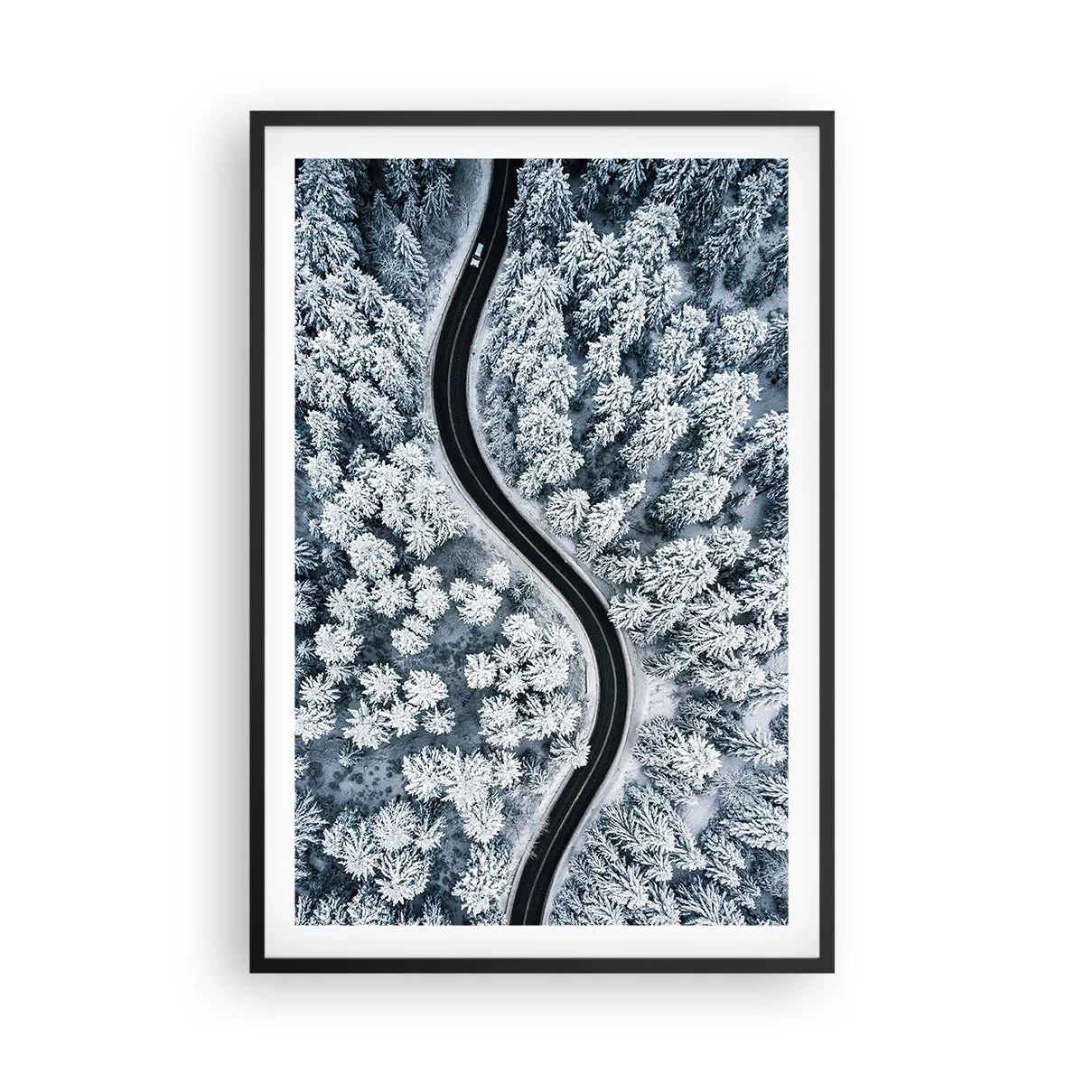 Affisch i svart ram - Genom vinterskogen - 61x91 cm