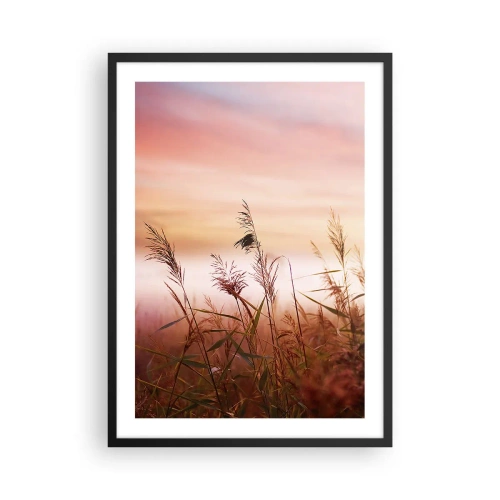 Affisch i svart ram - Gräs mot en färgglad himmel vid solnedgången - 50x70cm - Drakar, maskrosor, vind - Modern väggdekoration för vardagsrum och sovrum ARTTOR