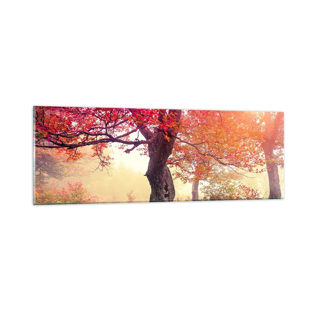 Glastavla - Bild på glas - Våldsam blommande - 90x30 cm