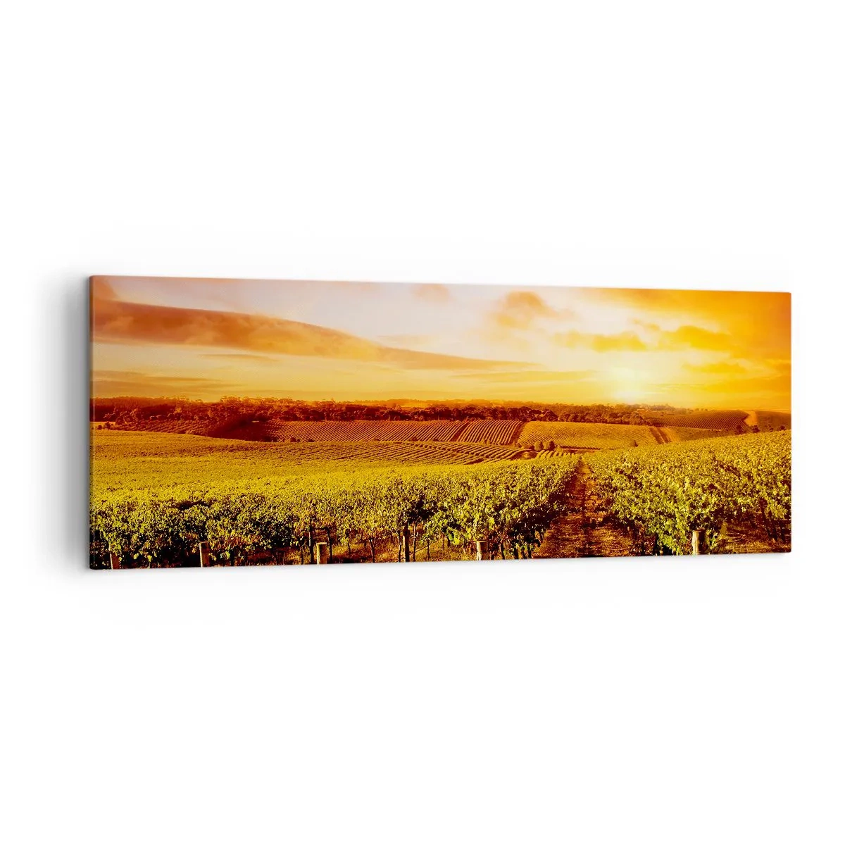Canvastavla - Bild på duk - Fina druvor med en gnutta sol - 140x50 cm