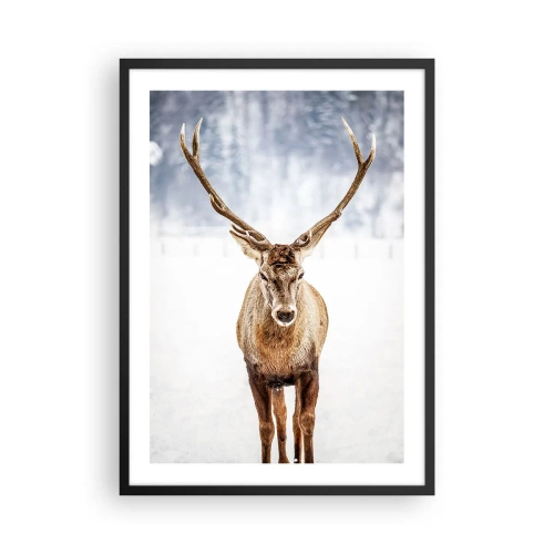 Affisch i svart ram - En ståtlig hjort mot bakgrund av ett vinterlandskap - 50x70cm - Rakt från snödimman - Modern väggdekoration för vardagsrum och sovrum ARTTOR