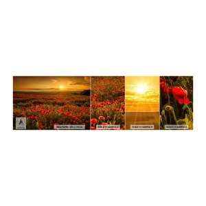Provbit av självhäftande fototapet Deluxe Sticker - Bland brusande ängars vågor, bland blommornas flod - Landskap, Blommor, Vallmo - 100x30 cm