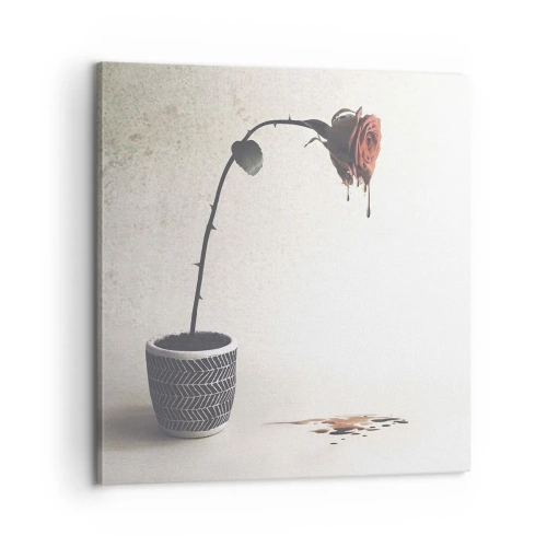 Canvastavla - Bild på duk - Rosa dolorosa - 60x60 cm