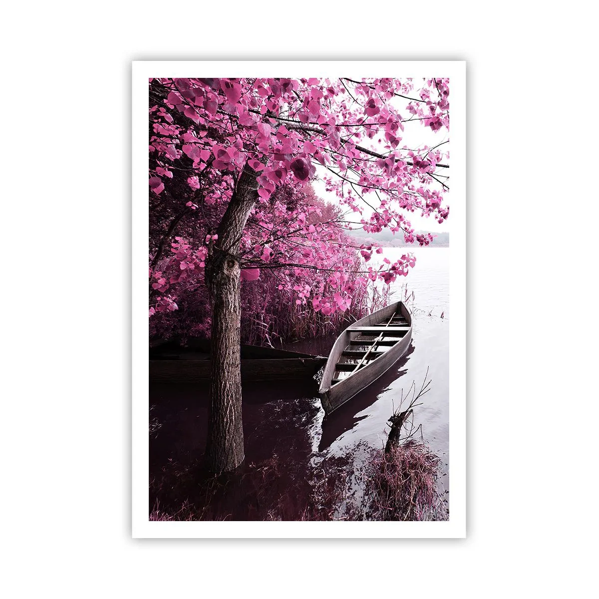 Affisch - I rosa tystnad - 70x100 cm