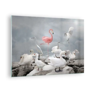 Glastavla - Bild på glas - En rosa flamingo bland vita svanar och hägrar mot vattnet - 70x50cm - Hur har jag hamnat här? - Modern väggdekoration för vardagsrum och sovrum ARTTOR