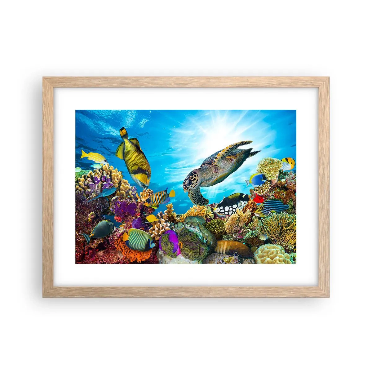 Affisch i ram av ljusek - Korallpromenad - 40x30 cm