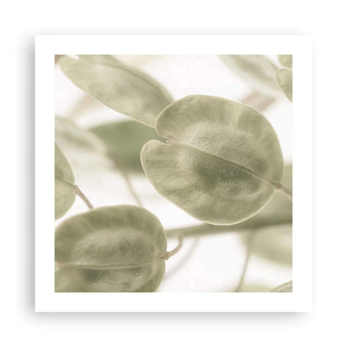 Affisch - I början fanns det löv... - 50x50 cm