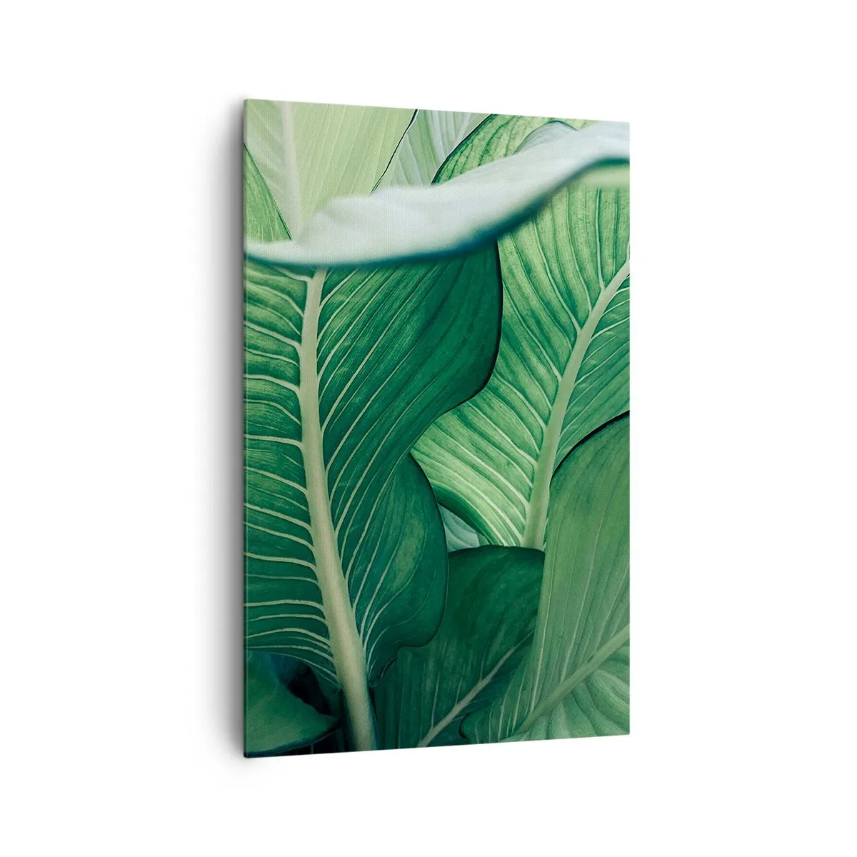Canvastavla - Bild på duk - Livet intensivt grönt - 80x120 cm