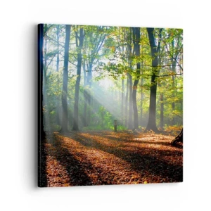 Canvastavla - Bild på duk - Sken-och skuggspel - 40x40 cm