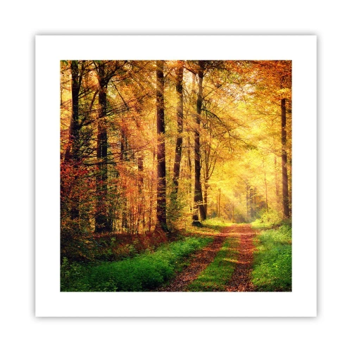 Affisch - Skogsguld tystnad - 40x40 cm