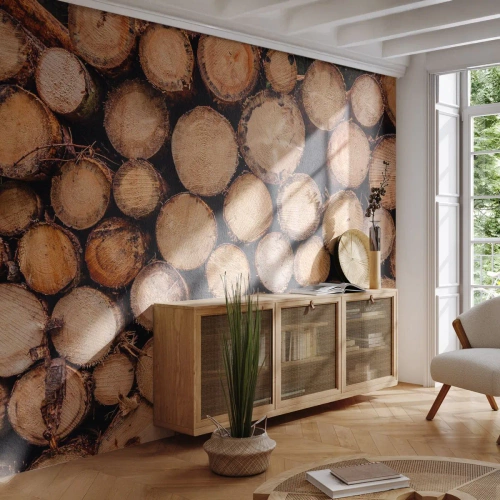 Fototapet på mått Premium Sand - Ny början - Trä, Trästockar, Natur