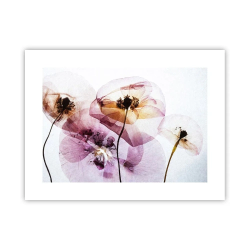 Affisch - Blommornas transparenta kroppar - 40x30 cm