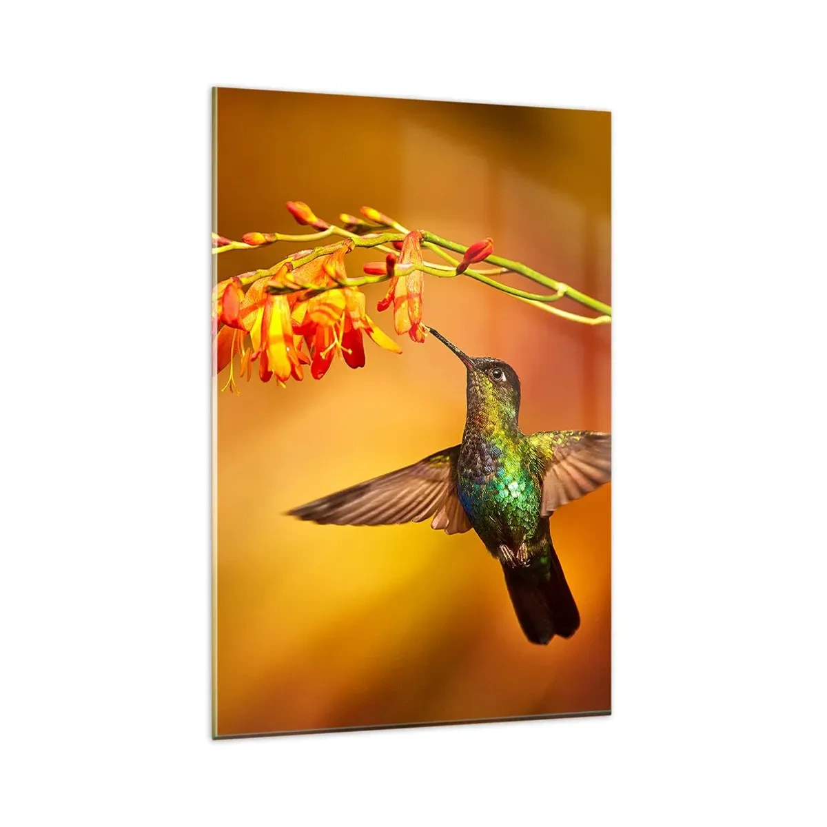 Glastavla - Bild på glas - Ljusbud enligt Mayafolket - 80x120 cm