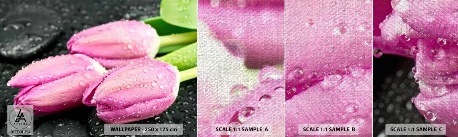 Provbit av fototapet Premium Canvas - Tre i lila färg på en sten - Blommor, Tulpaner, Blombukett - 100x30 cm