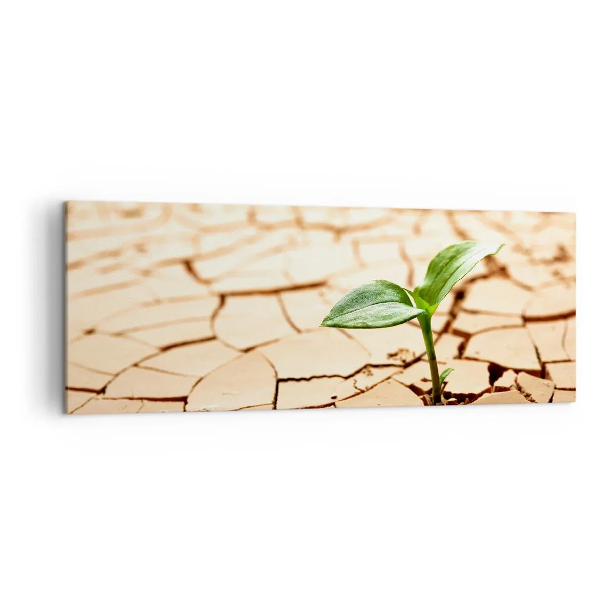 Canvastavla - Bild på duk - Obesegrad livskraft - 140x50 cm