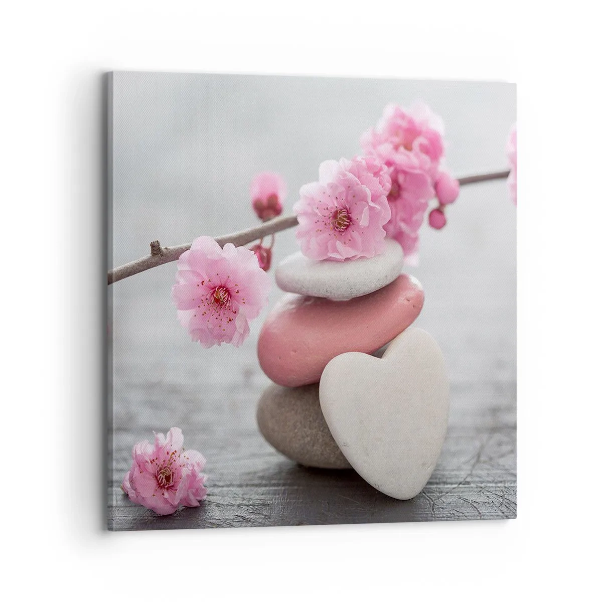Canvastavla - Bild på duk - Salighet med körsbärsblomma - 70x70 cm