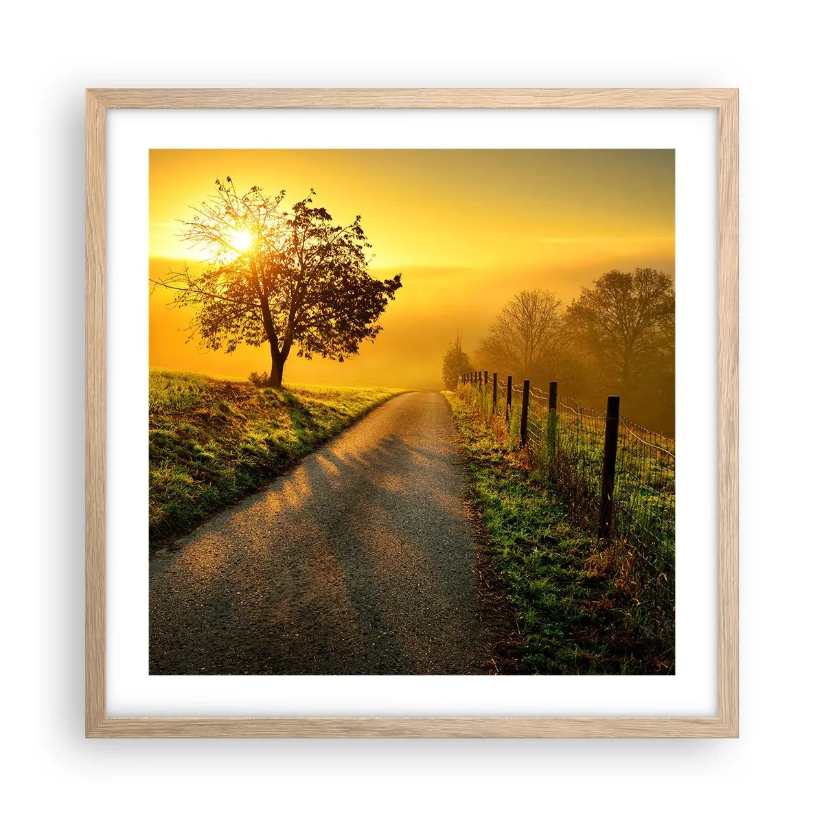 Affisch i ram av ljusek - Honungfärgad eftermiddag - 50x50 cm
