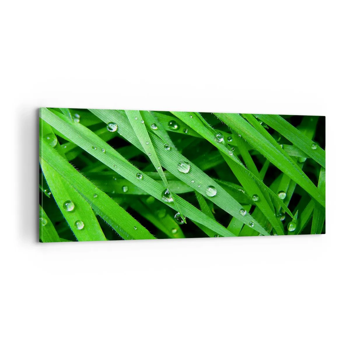 Canvastavla - Bild på duk - Spela grönt - 100x40 cm