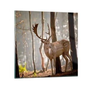 Glastavla - Bild på glas - Ungdomens ljus - 30x30 cm