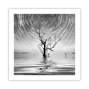 Affisch - Naturens symfoni - 50x50 cm