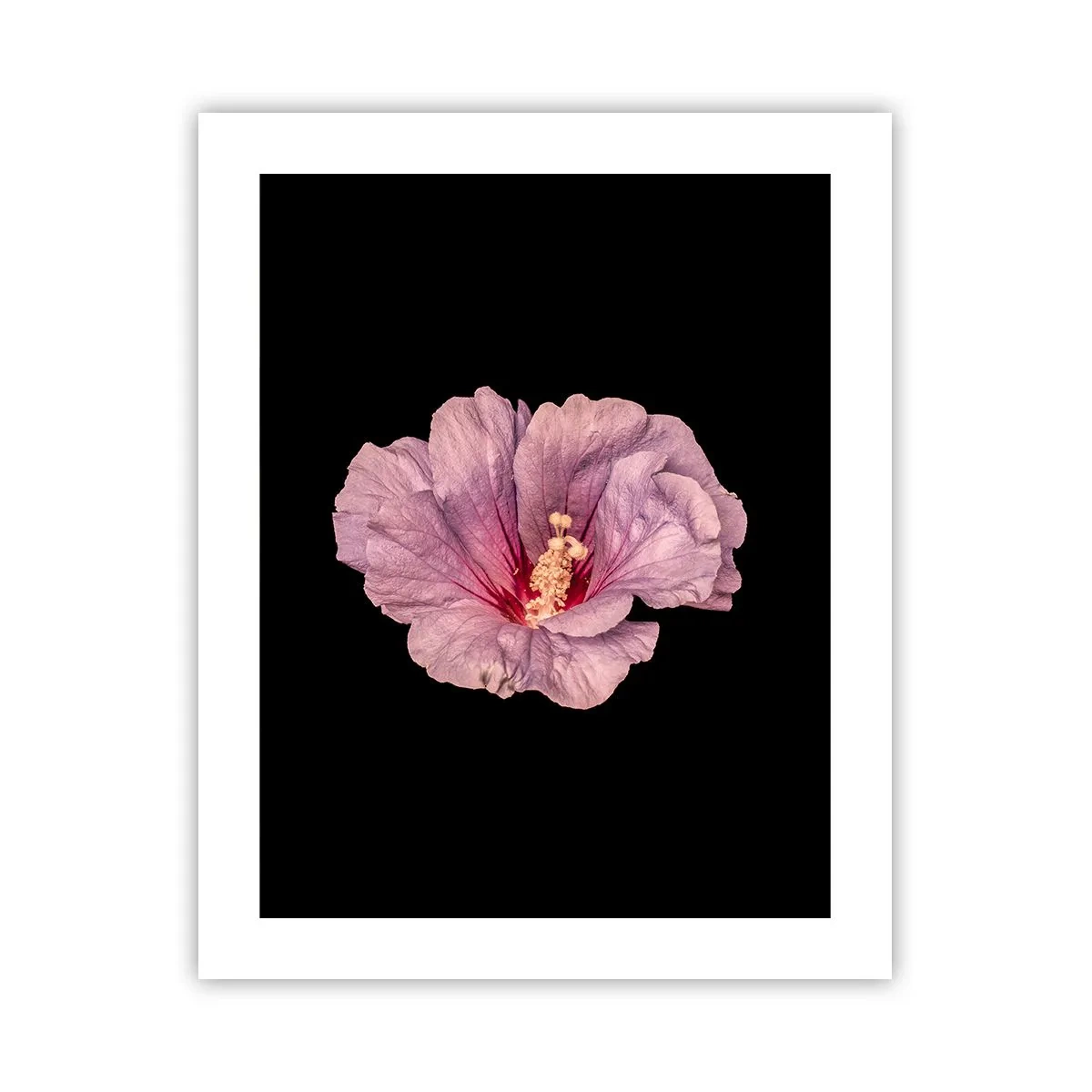 Affisch - Rakt till hjärtat - 40x50 cm