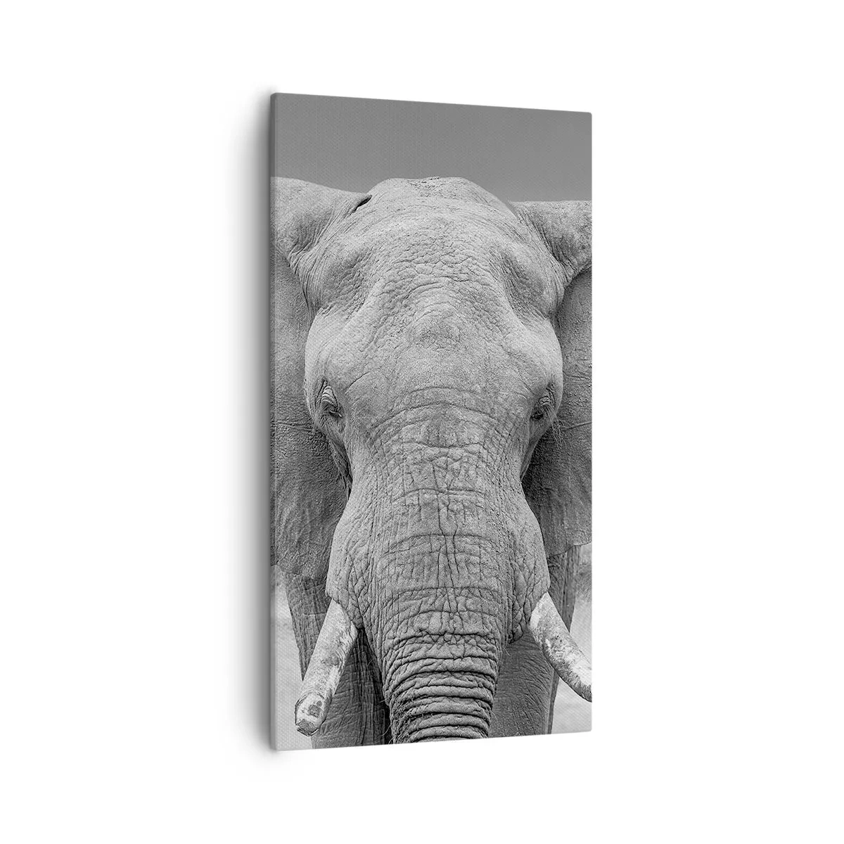 Canvastavla - Bild på duk - Välkommen till min värld - 55x100 cm