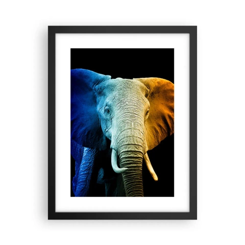 Affisch i svart ram - Excentriker, ej kuf - 30x40 cm