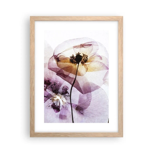 Affisch i ram av ljusek - Blommornas transparenta kroppar - 30x40 cm