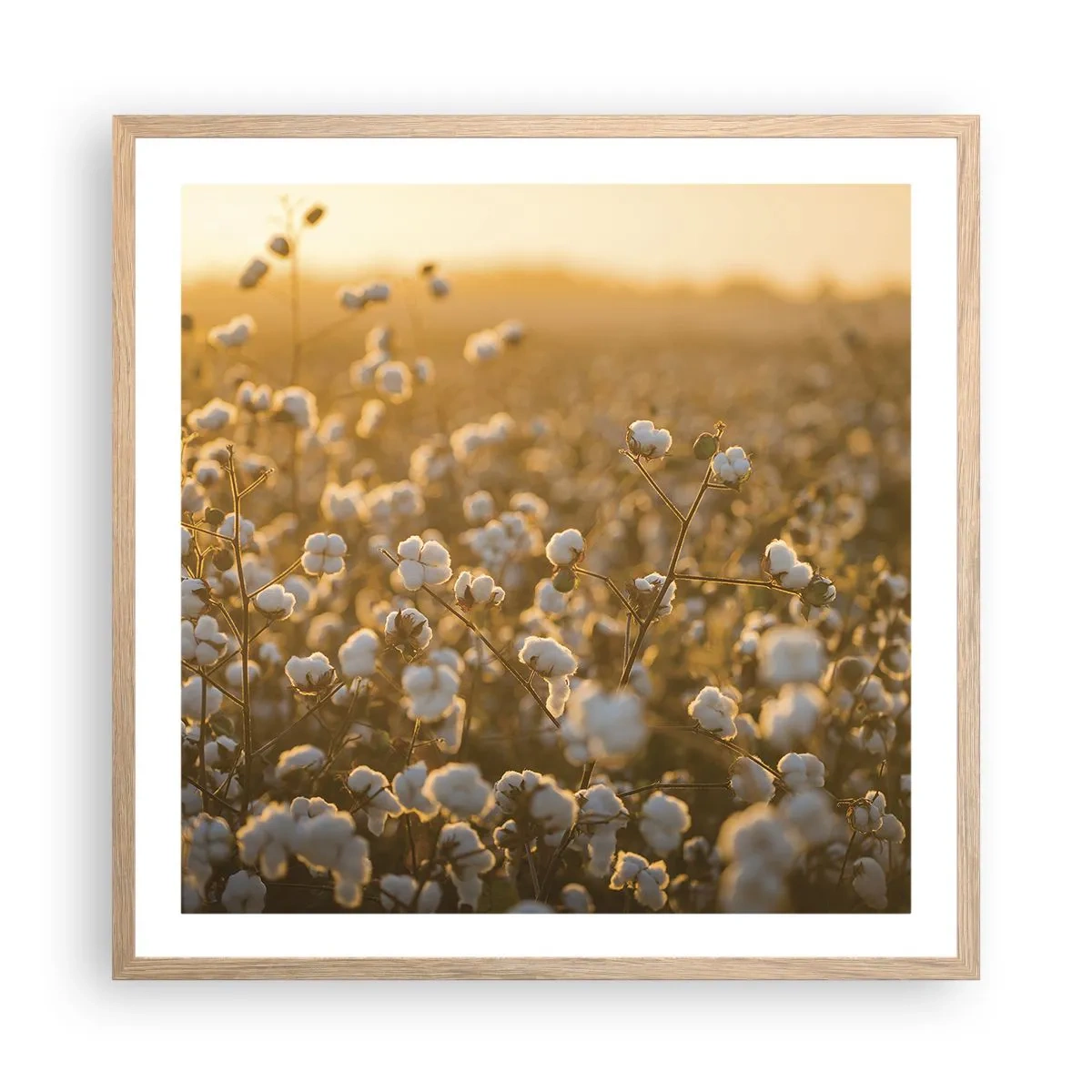 Affisch i ram av ljusek - Fluffigt fält - 60x60 cm