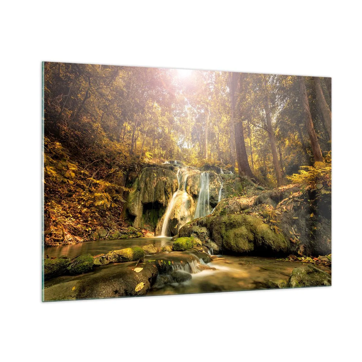 Glastavla - Bild på glas - Skogkaskad i grönt - 100x70 cm