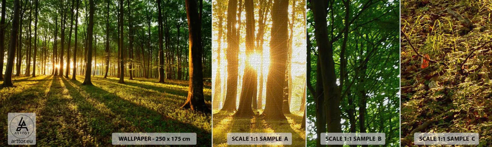 Provbit av fototapet Premium Canvas - Fotografi av alla vårar - Landskap, Skog, Natur - 100x30 cm