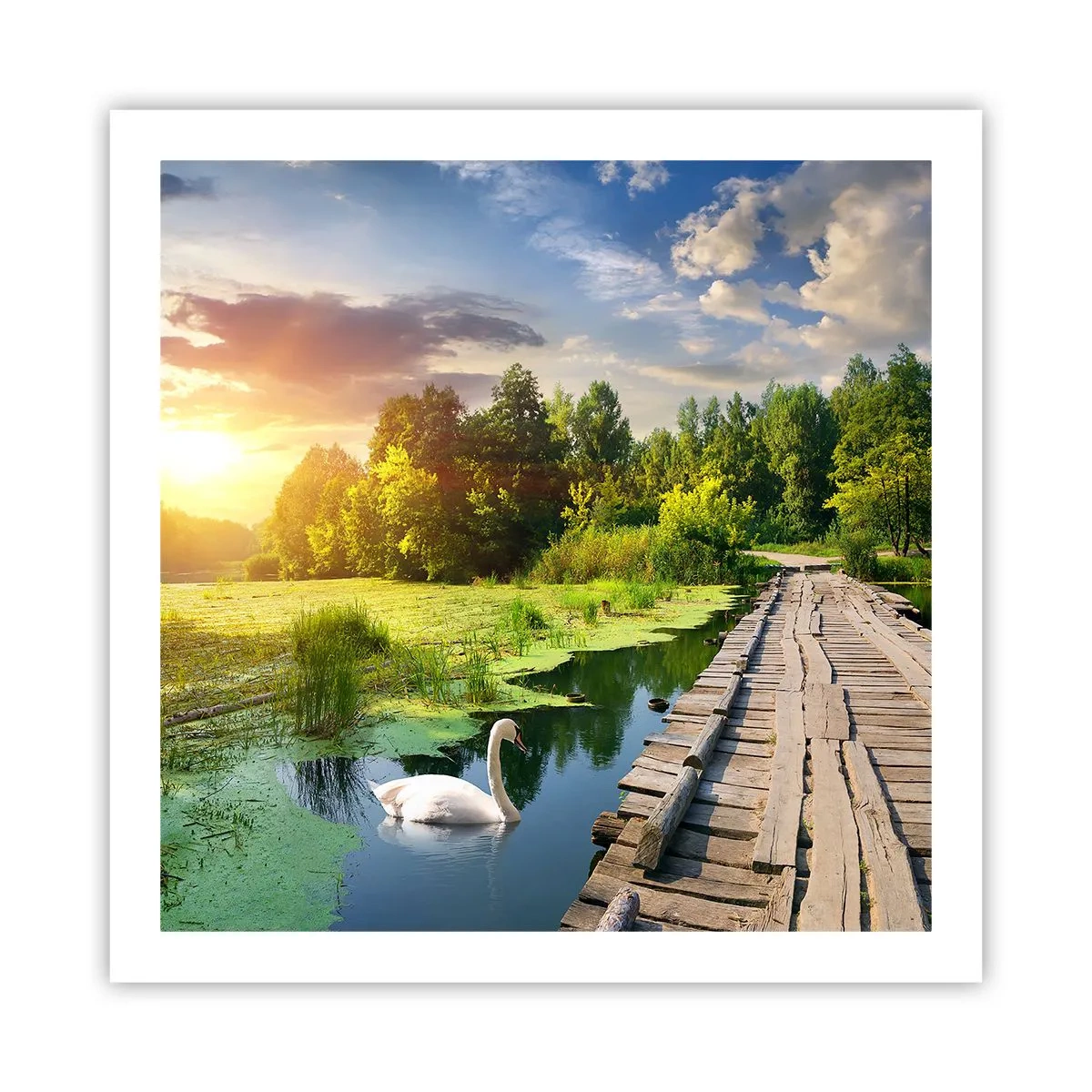 Affisch - Sommar, sommar överallt - 60x60 cm