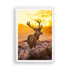 Affisch i vit ram - Höstskogens kung - 70x100 cm