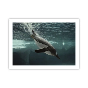 Affisch - Välkommen till min värld - 70x50 cm