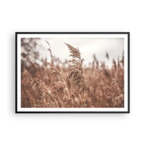 Affisch i svart ram - Hösten är framme på åkrarna - 100x70 cm