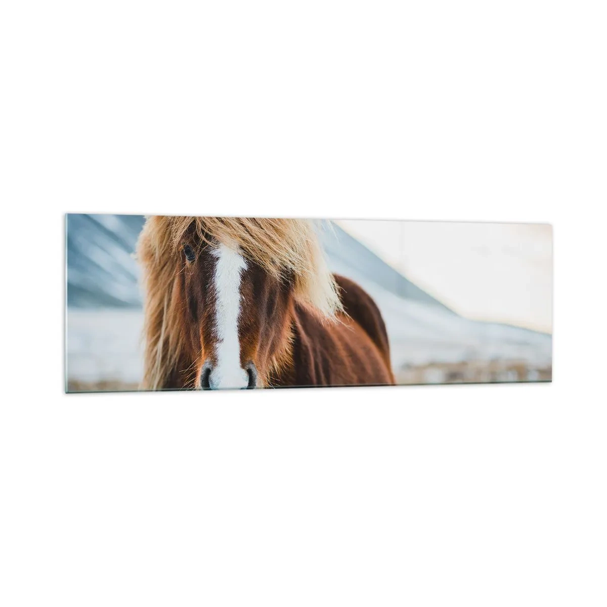 Glastavla - Bild på glas - Känner du friheten? - 160x50 cm