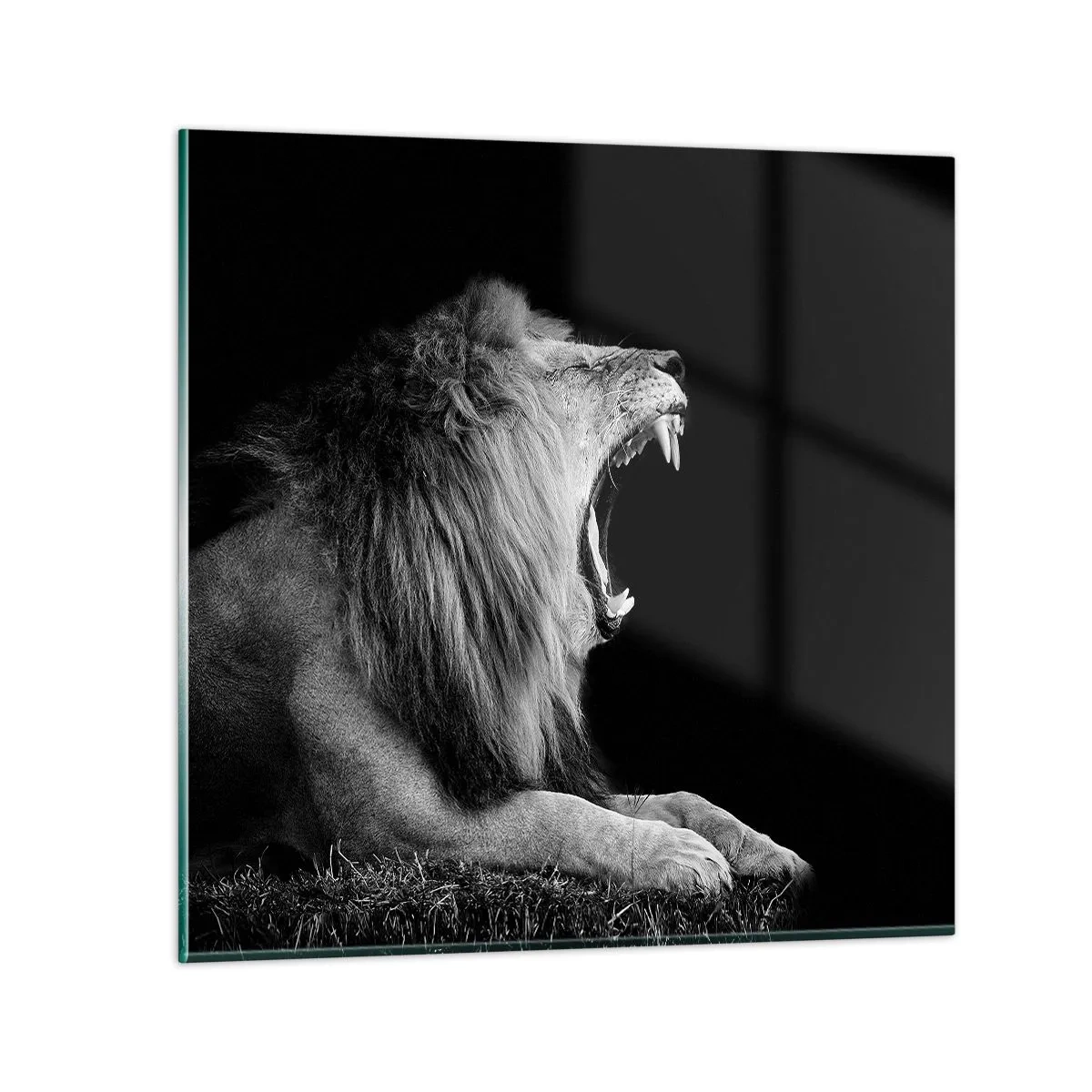 Glastavla - Bild på glas - Utan någon tvekan - 70x70 cm