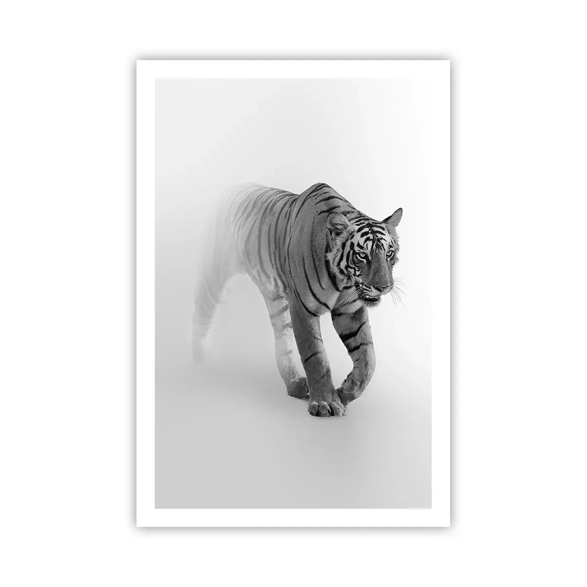 Affisch - Gömd i dimman - 61x91 cm