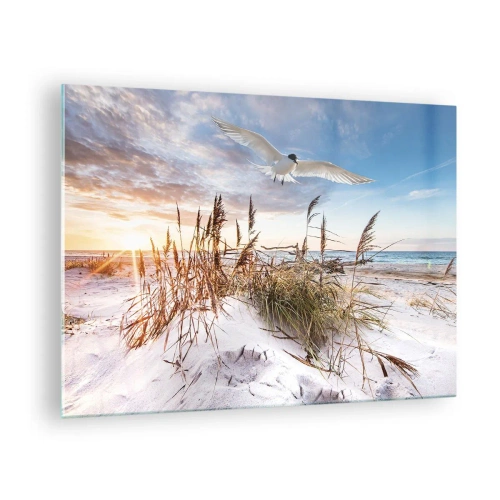 Glastavla - Bild på glas - En fågel som flyger över sanddynerna vid solnedgången - 70x50cm - Vind från havet - Modern väggdekoration för vardagsrum och sovrum ARTTOR