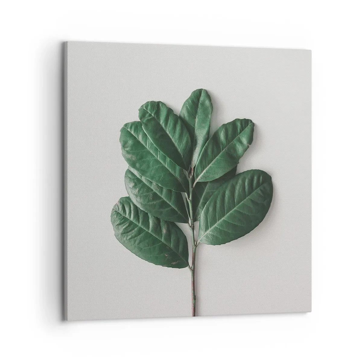 Canvastavla - Bild på duk - Själva naturens bild - 50x50 cm