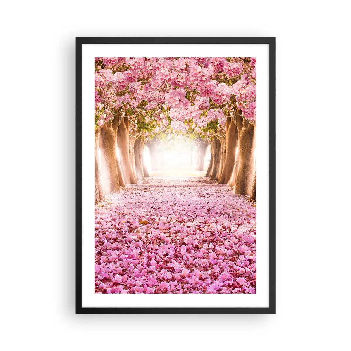 Affisch i svart ram - En allé av körsbärsträd med en rosa blommig matta - 50x70cm - Vägen till paradiset - Modern väggdekoration för vardagsrum och sovrum ARTTOR