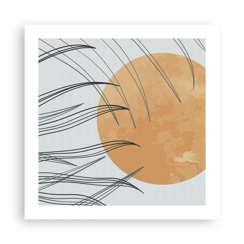 Affisch - Alltid mot solen - 50x50 cm